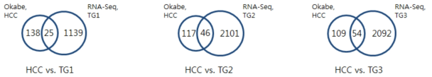 Okabe et al. 연구팀의 RNA-seq data와 유의발현 유전자 비교