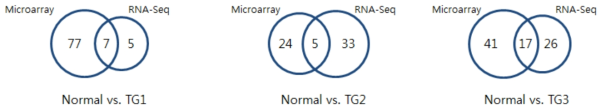 각 간암 군에서 정상군 대비 유의한 발현 변이를 보인 microRNA 개수