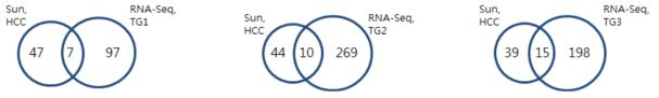 Sun et al. 논문에서 제시한 microRNA 간암 마커와 RNA-seq data에서의 microRNA 비교