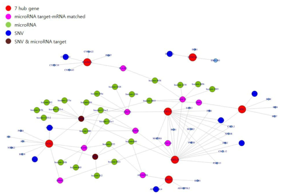 7개 hub gene 발현 조절인자로 여겨지는 molecule network