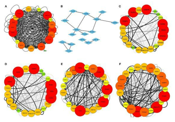 Bayseian network를 도입하여 생성한 liver specific gene regulation