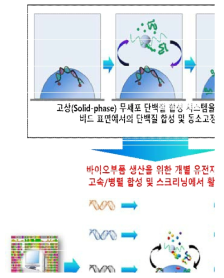 DNA와 발현 단백질의 on-bead접합 기술을 통한 바이오부품 스크리닝의 개요