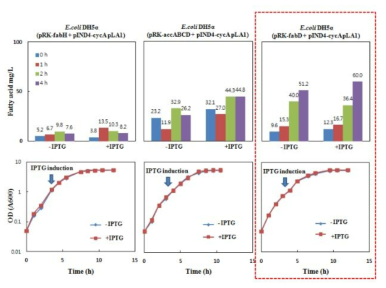 포스포리파아제 A1을 발현시키는 균주에서 AccABCD, FabD 및 FabH를 각각 동시에 발현시키는 경우의 분비지방산 생산량 측정