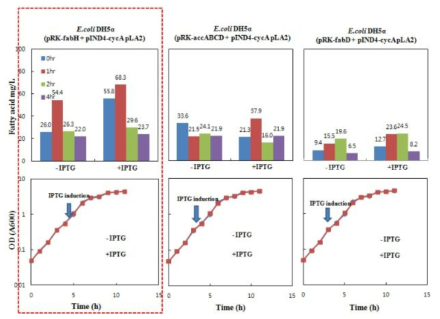 포스포리파아제 A2를 발현시키는 균주에서 AccABCD, FabD 및 FabH를 각각 동시에 발현시키는 경우의 분비지방산 생산량 측정
