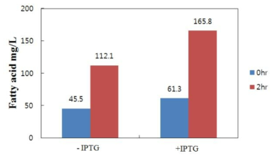 포스포리파아제 A2 및 FabH를 동시에 발현하는 재조합 균주를 이용하여 LB 배지에 글리세롤을 0.4%(w/v)의 농도로 첨가하여 성장시켜 분비 지방산의 생산량 측정