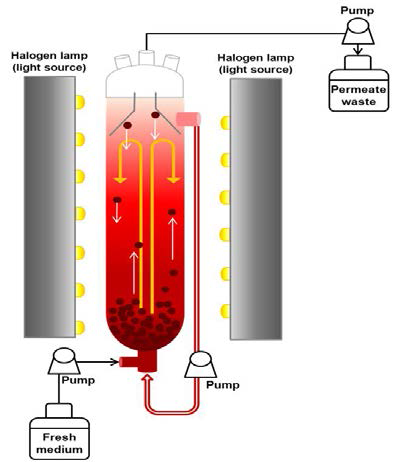 상향류식 광생물 반응기 모식도