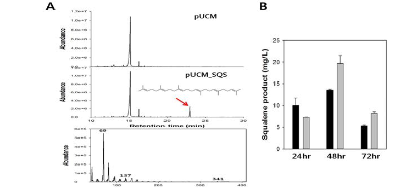Squalene synthase의 활성에 따른 squalene의 발현을 HPLC-DAD를 통해 정성적/정량적 분석