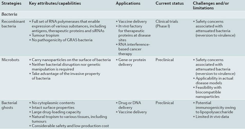 박테리아에서 유래된 약물 전달 시스템의 개발