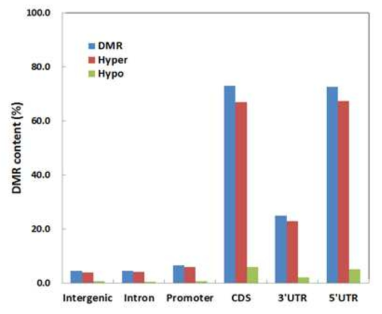 DMR의 genomic distribution