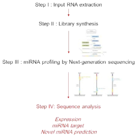miRNA 발현 분석을 위한 workflow