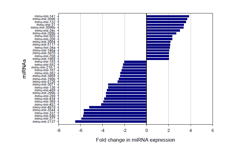 2배 이상 발현 차이가 나는 miRNAs