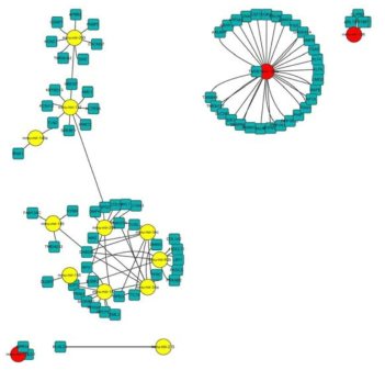 miRNA-예상 mRNA 그룹 (노랑: 감소하는 miRNAs, 빨강: 증가하는 miRNAs)