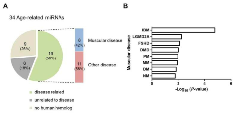 HMDD을 통한 노화에 따라 조절되는 miRNA의 근육질환 관련성 확인