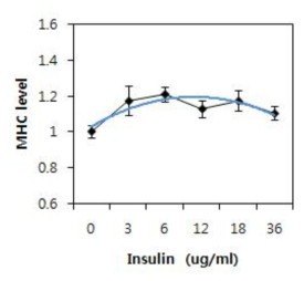 분화 유도 후 2일에 측정한 비교군 인슐린의 농도별 분화촉진 효과
