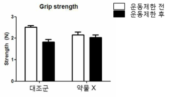 약물 X에 의해 향상된 마우스 악력측정