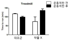 약물 X에 의해 향상된 마우스의 지구력 측정