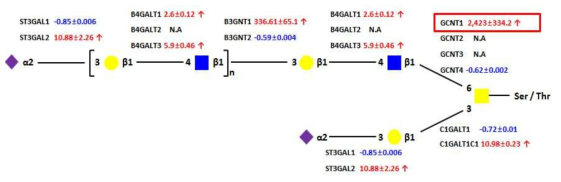 Real-time PCR을 통해서 예측된 polylactosamine이 부가된 Core 2 O-당사슬 구조