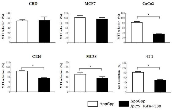 EGFR 미발현, 과발현 종양세포주에서 TGFa-PE38에 의한 세포사멸. (MTT assay)