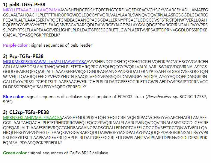 다양한 signal peptide가 결합된 TGFa-PE38