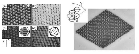 (오른쪽 그림) LC droplet 의 2 차원적인 규칙적인 패킹의 예7, (왼 쪽 그림) 자기 조립된 Nematic colloidal 결정의 예