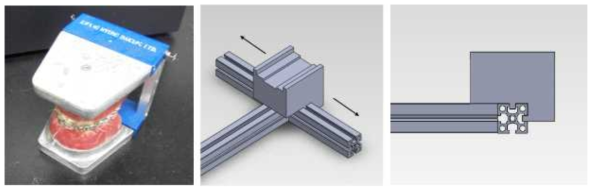 치과대학 교정과에서 치아이동의 시뮬레이션하기 위하여 사용하고 있는 타이포돈트 시스템과 그것의 고정을 위해서 T자 레일 위해 장착된 지지대 부분