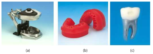 타이포돈트 시스템의 3가지 구성요소; (a) 프레임(frame), (b) 왁스폼(waxform), (c) 치아(tooth)의 사진