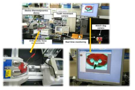 본 실험에서 개발한 장치를 이용한 experimental setup