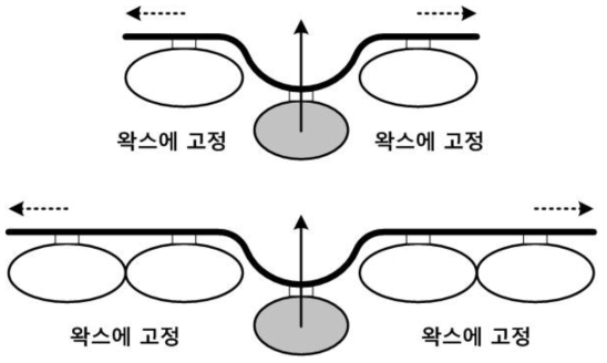 (위)3개의 연속된 치아와 (아래)5개의 연속된 치아에서 초기조건과 구속조건