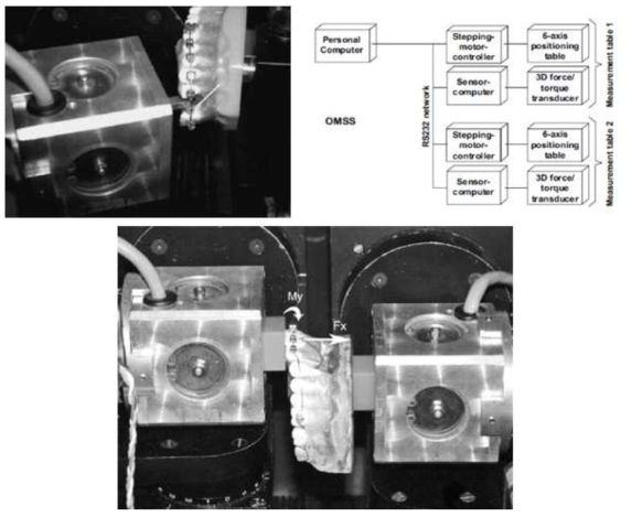 왁스 기반의 Frasaco model(Franz Sachs, Tettnang, Germany)을 이용하여 개발한 Orthodontic measurement and simulation system(OMSS)으로 다양한 축의 torque와 moment 측정이 가능하다고 함