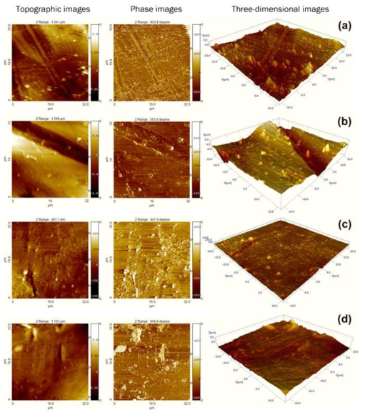 (a, b) Daeseung stainless steel bracket과 (c, d) 3M stainless steel bracket의 슬롯 표면의 원자현미경 영상: AFM topography 영상, AFM 위상 영상과 AFM 3차원 영상. (왼쪽) 교정 치료 전, (오른쪽) 교정치료 후.