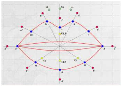 계측점 정의(노란점; 입술내계측점, 파란점: 입술경계부계측점, 빨간점: 입술주위계측점, 녹색점: 코아래계측점)