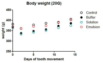 20G 교정장치 장착 후 실험쥐의 체중