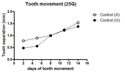 25G 교정장치 장착 후 대조군의 체중 변화. X는 아무런 처리를 하지 않은 군이며, O는 약물을 함유하지 않은 완충용액을 주사한 군임