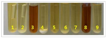 발효테스트 결과 1: mannose 2: sucrose, 3: L-arabinose, 4: cellulose, 5: cellobiose, 6: mannitol, 7: soluble starch, 8: xylose, 9: CMC