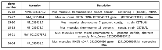 염기서열분석을 통한 trapped ES clone의 변이유전자중 기존의 클론들과 일치하는 유전자들