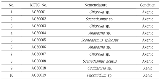 무균 유도에 사용된 녹조류와 남세균의 목록 (Axenic; 무균균주, Xenic; 오염균주)