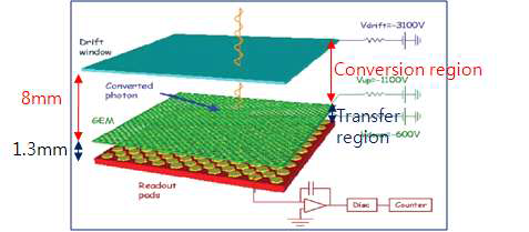 NSTX에서 사용한 GEM Detector