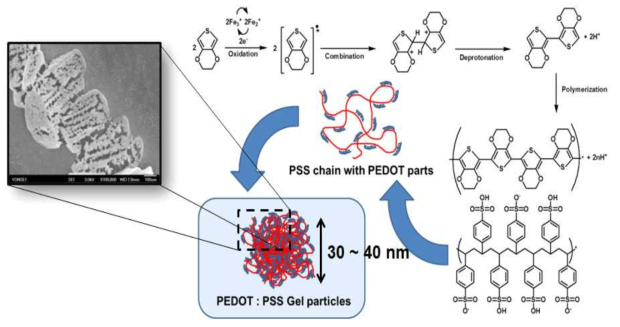 PEDOT:PSS의 화학구조 및 나노입자