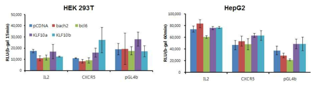 mIL2와 mCXCR5 promoter-reporter assay system 확립. Reporter와 각각의 과발현 벡터를 PEI방법으로 transfection 함. Luciferase 활성은 b-gal 값으로 보정함.