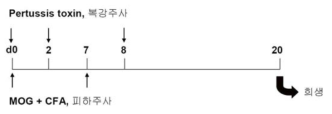 Induction of EAE mouse model