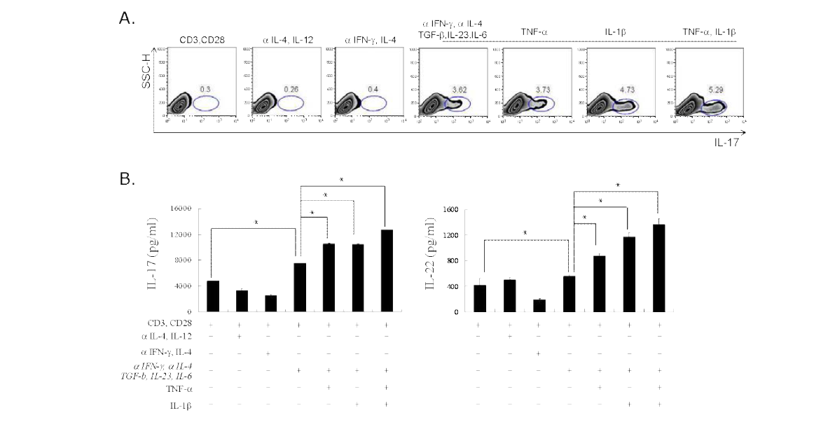 Th17 cell differentiation in humen CD4+ T cells