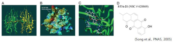 STA-21의 구조 및 STAT3 억제 schematic diagram