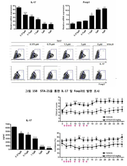 STA-21을 통한 IL-17 단백양 조사와 자가면역관절염 질환에서 STA-21 효과조사