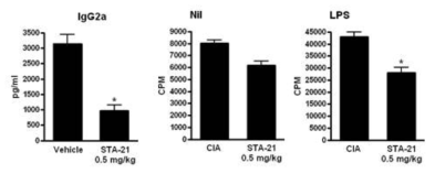 CII-specific IgG2a 및 세포 증식 조사