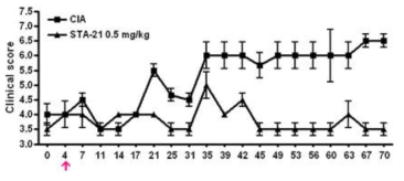 STA-21 처리군의 CD4+CD25+ T 세포를 adoptive transfer 하여 관절염질환 완화효과 조사