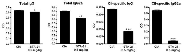 adoptive transfer 군에서 IgG2a 조사