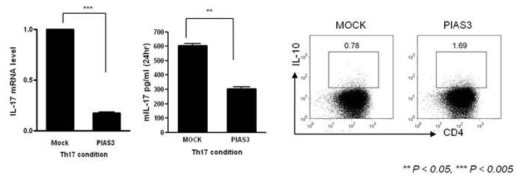 PIAS3 over-expression vector 에 의한 IL-17 억제와 IL-10 증가 효과