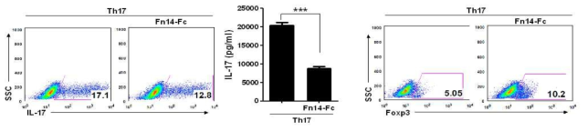 Fn14 차단을 통한 병인 Th17 세포의 기능 억제