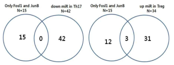 Th17/Treg에서 발현 변화있는 miR와 Fra1,JunB를 동시에 특이적으로 억제할 수 있는 miR의 분석