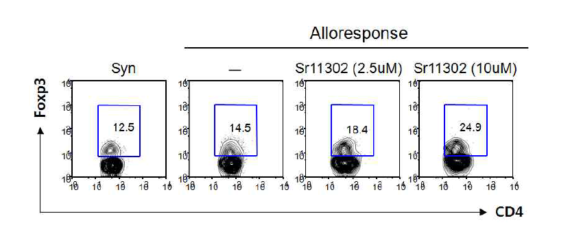 이식편대숙주질환에서 SR11302의 Treg촉진효과
